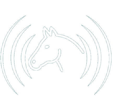 Logo Clinica Equina Andromeda