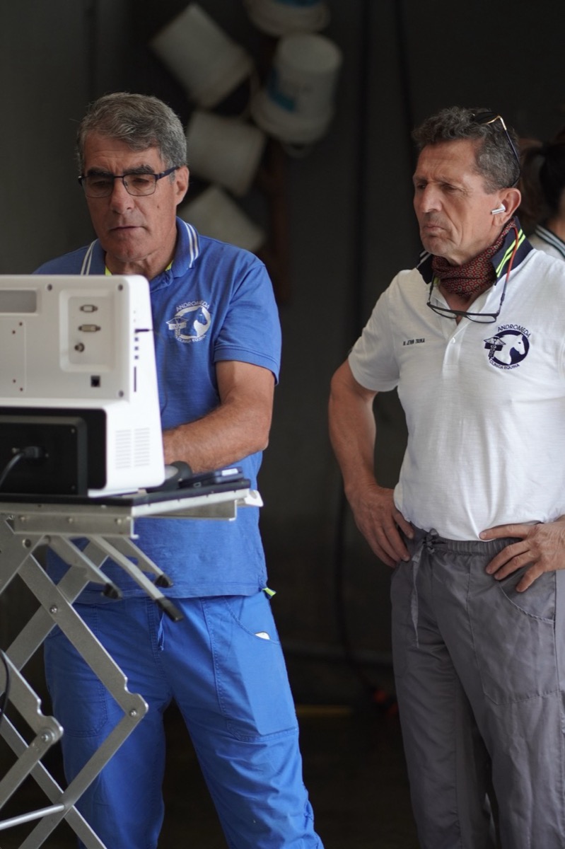 Video-Gastroscopia / Endoscopia — Clinica Equina Andromeda