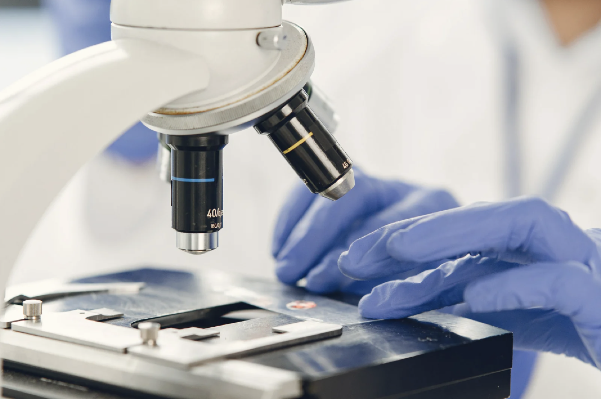 Laboratorio analisi — Clinica Equina Andromeda