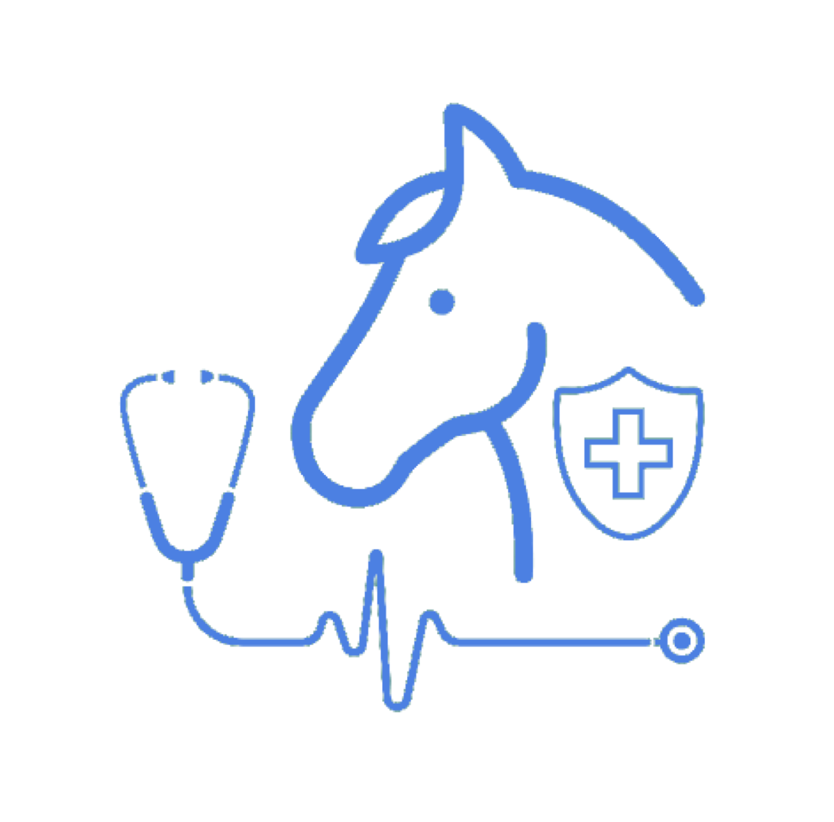 Medicina interna & degenza — Clinica Equina Andromeda