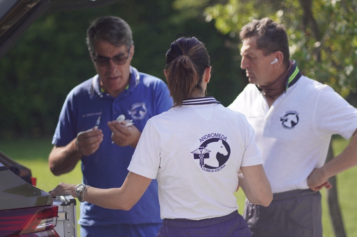 Visite di controllo & prevenzione — Clinica Equina Andromeda