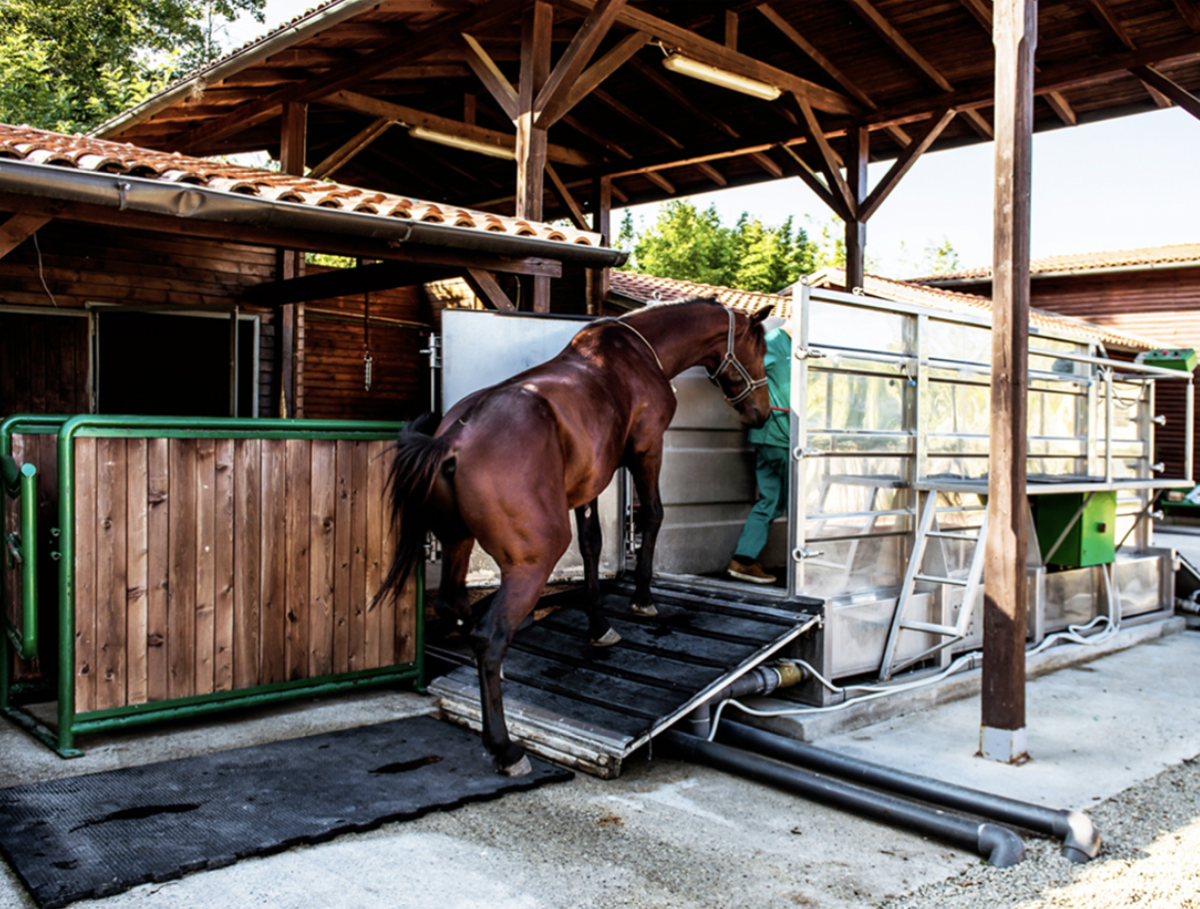Water treadmill — Clinica Equina Andromeda